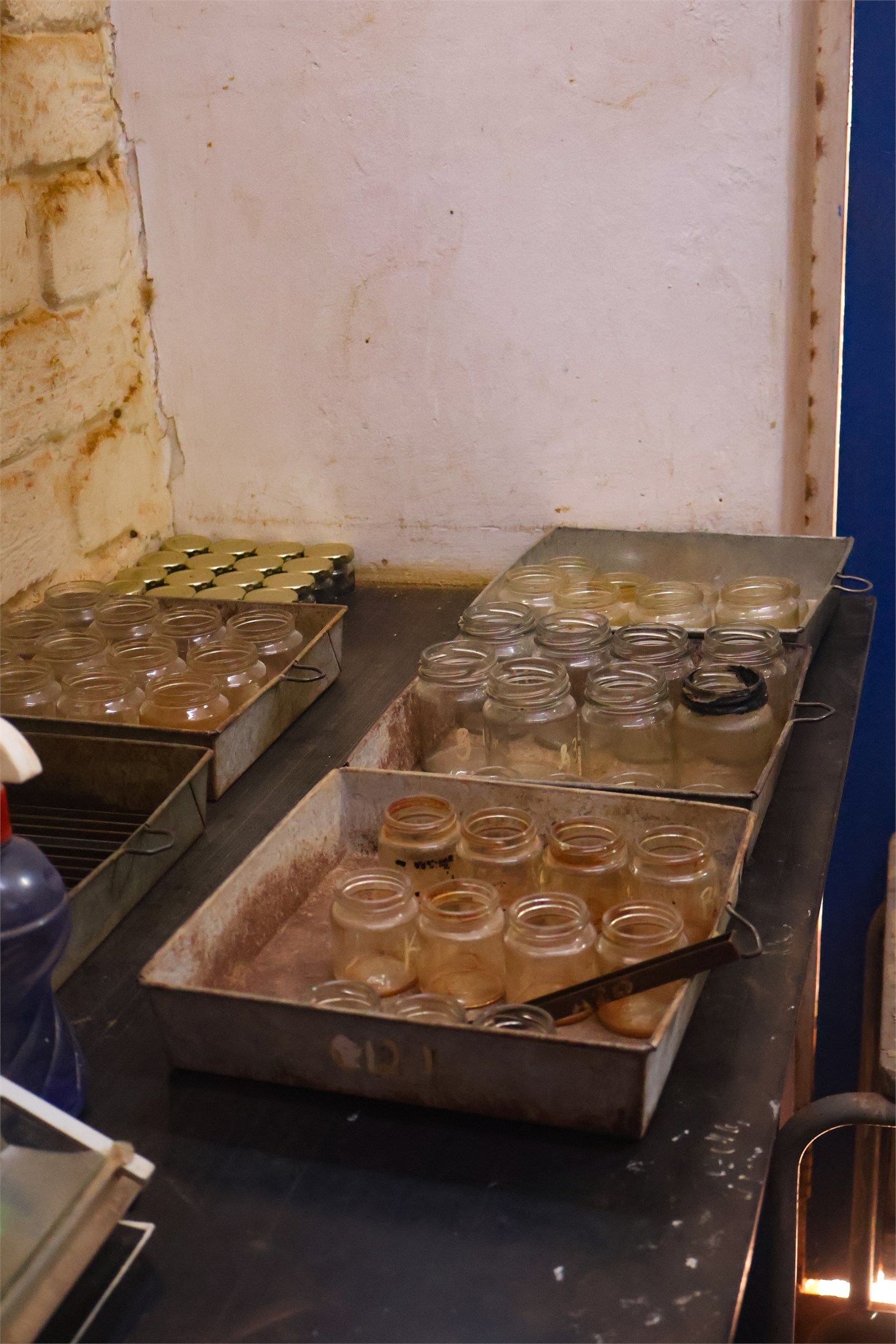 Sample jars arranged on trays in the laboratory